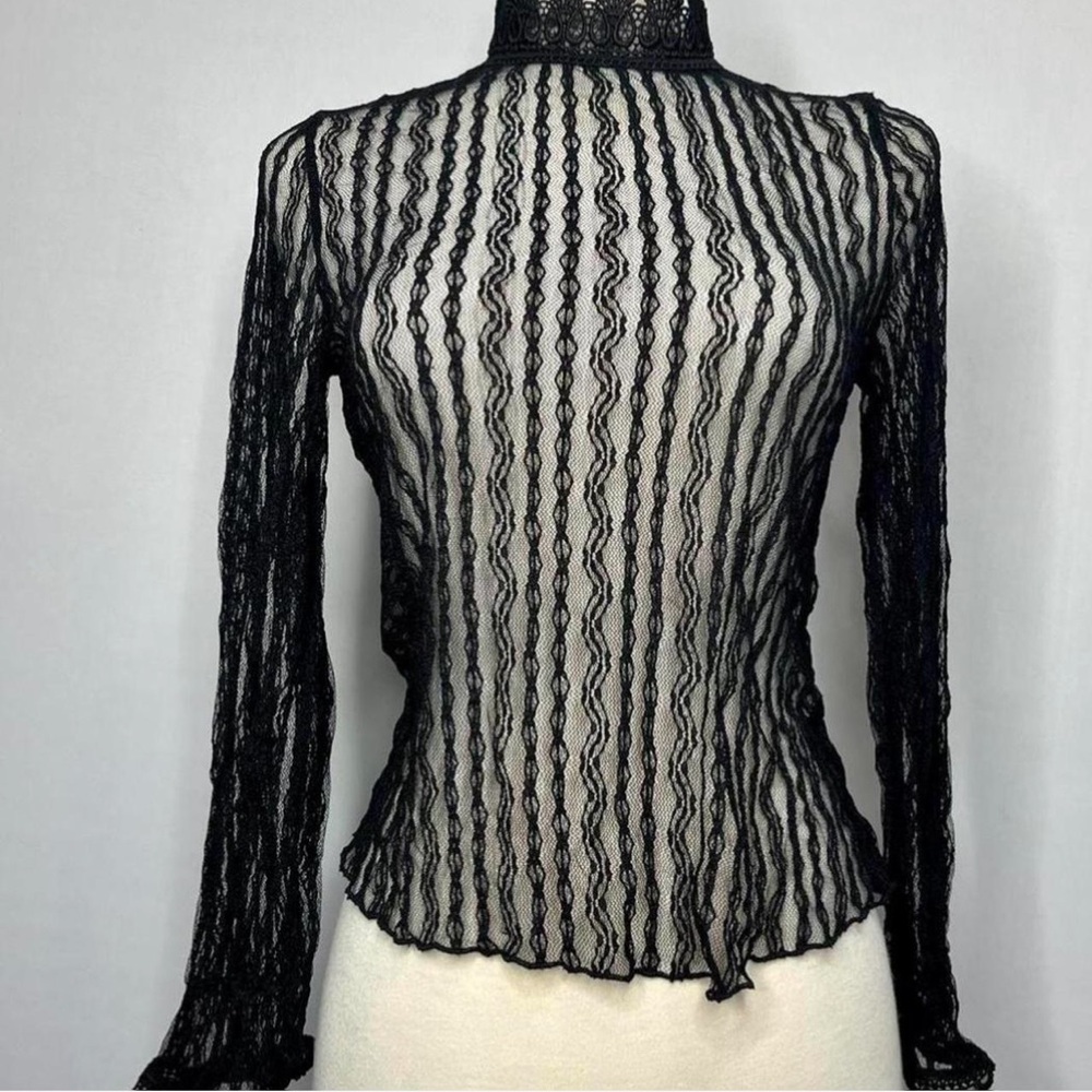 Renaissance Sheer Mesh Long sleeve